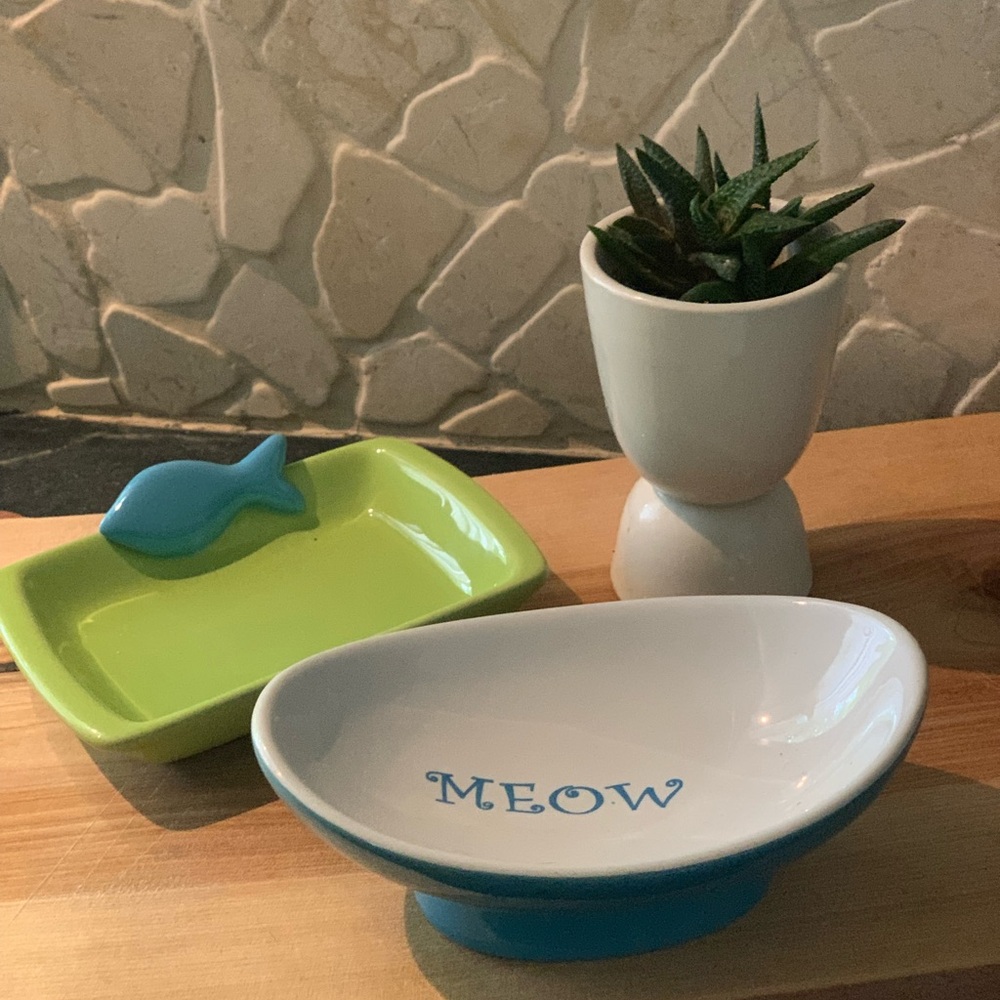 PETRAGEOUS | Set of 2 | Cat Dishes